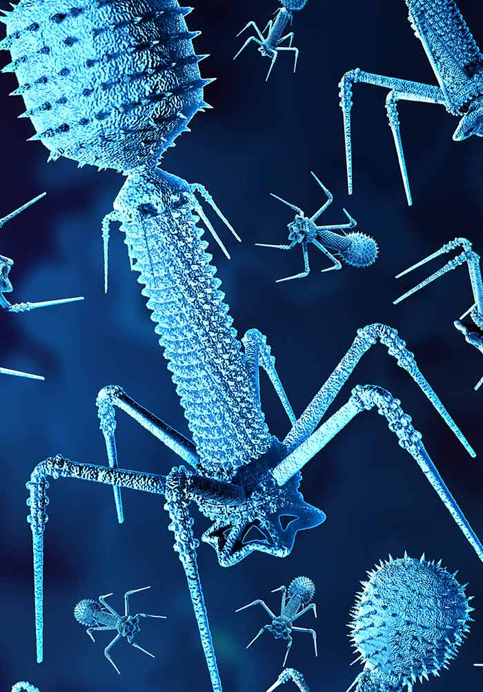 Uyda jinsiy aloqa qilish